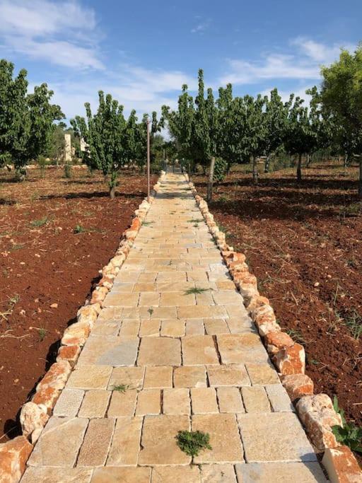 Vila Ulivo Monopoli Exteriér fotografie